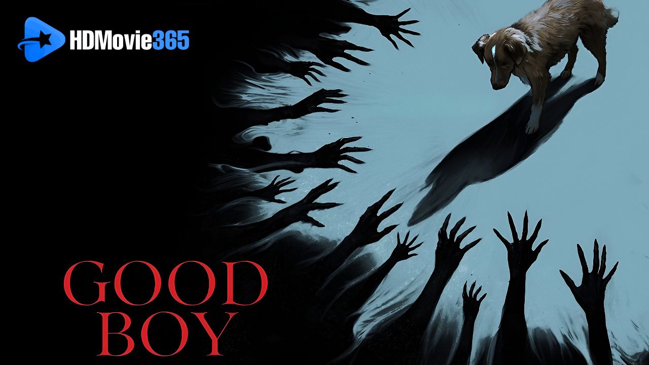 Good Boy (2025) [Movie Review] — An intimate, canine-led supernatural that quietly lingers